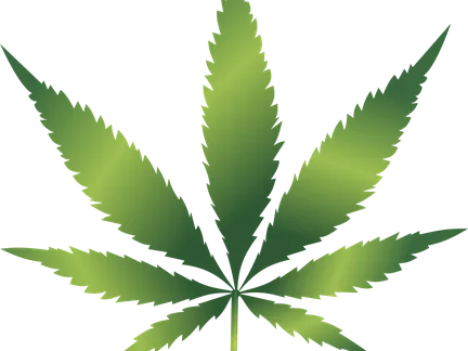 CVDAPC guest speaker Alexandra Datig has worked on drug policy and spoke out heavily against legalizing marijuana in California.